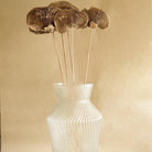 Natural Sponge Mushroom Dried Flower for Home Decor