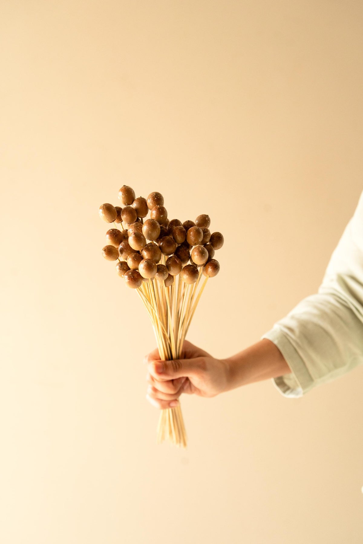 Oak Tree Seeds Dried Flowers Arrangement