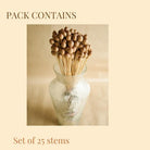 Natural Oak Tree Seeds Decorative Vase Filler Set of 25