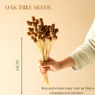 Rustic Decor Styling with Oak Tree Seeds Dried Flowers