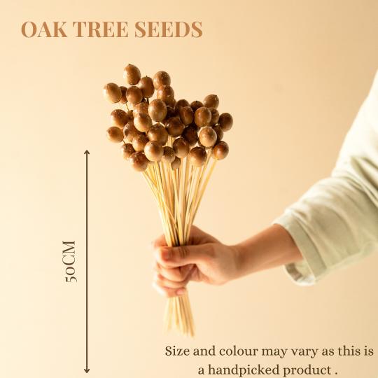 Rustic Decor Styling with Oak Tree Seeds Dried Flowers