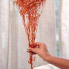 Orange Baby Breath Dried Flowers Bundle for Home Decor