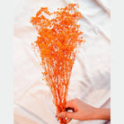 Orange Baby Breath Decorative Floral Stems for Home Styling
