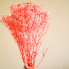 Natural Pastel Pink Baby Breath Dried Flowers Decorative Floral Arrangement for Interiors