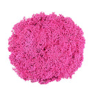 Pink Dried Rice Flower – Natural Forever Floral Décor | ArteCasa - https://artecasa.in/