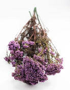 Purple Dried Rice Flower – Natural Forever Floral Décor | ArteCasa - https://artecasa.in/