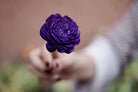 Purple White Sola Dried Flowers Arrangement in Decorative Vase