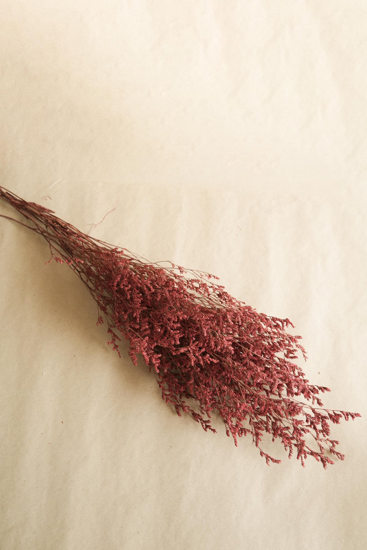 Close-up of Red Limonium Natural Dried Flowers