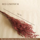 Red Limonium Long-Lasting Floral Decor for Home Styling
