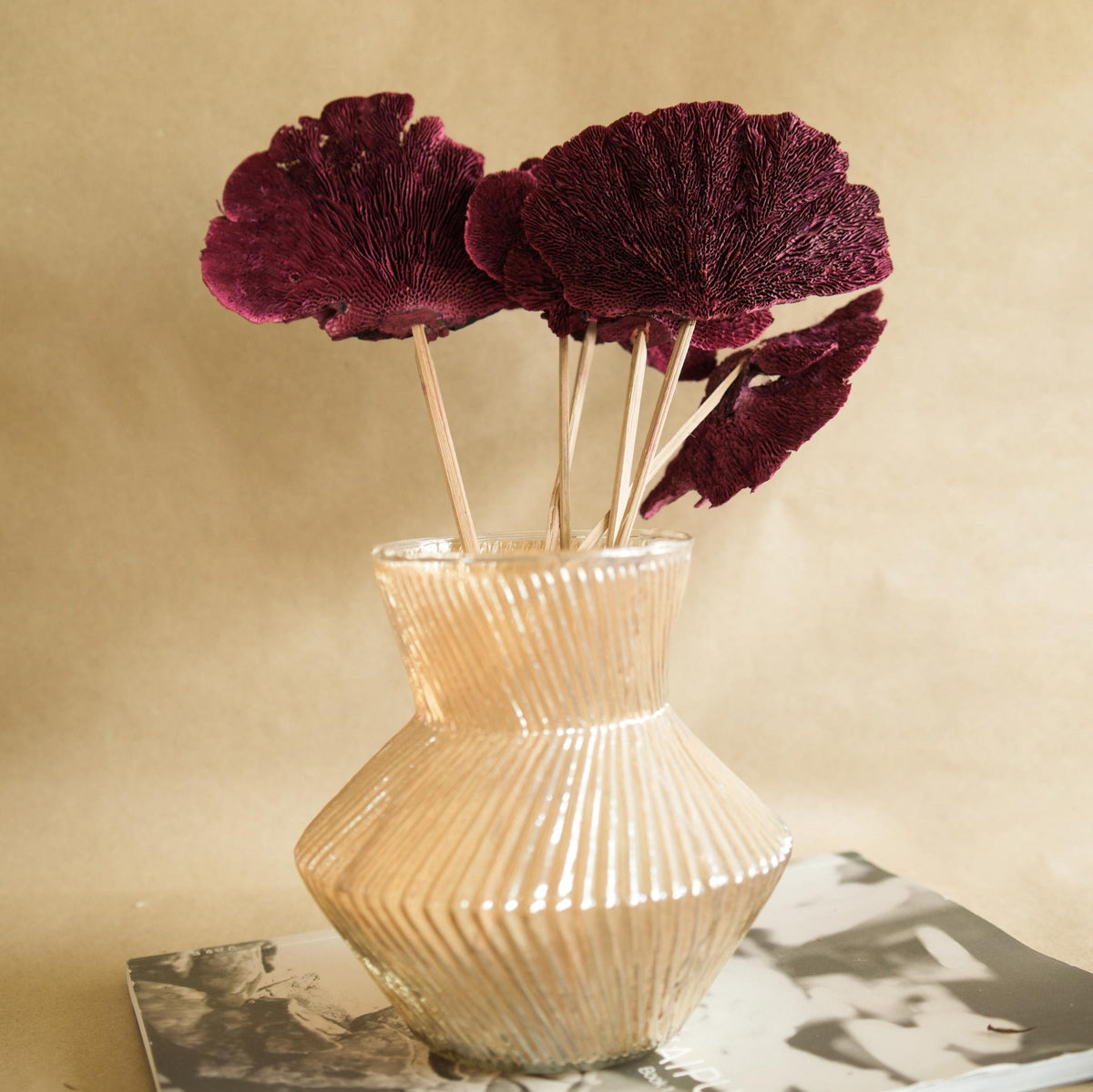Red Sponge Mushroom dried flowers for home decor and vase styling by ArteCasa