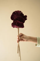 Red Sponge Mushroom dried flowers for modern home decor and shelf styling