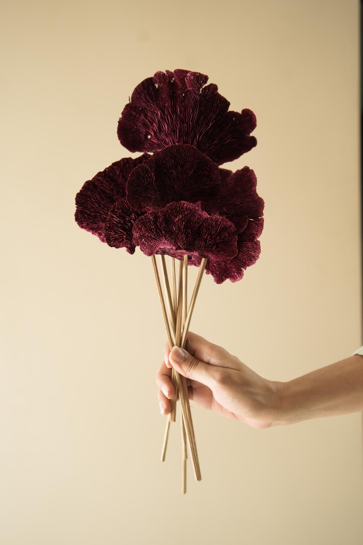 Red Sponge Mushroom dried flower arrangement for vase decor and interior styling.