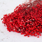 Red Baby Breath Dried Flowers for Vase Decor & Home Styling | ArteCasa - https://artecasa.in/