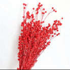 Red Flax Dried Flower Bunch | Elegant Natural Dried Flowers | Arte Casa