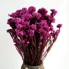 pink dried rice flower arrangement for home decor by artecasa