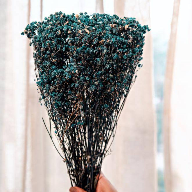 Royal Blue Baby Breath Dried Flowers Bundle for Home Decor and Vase Styling