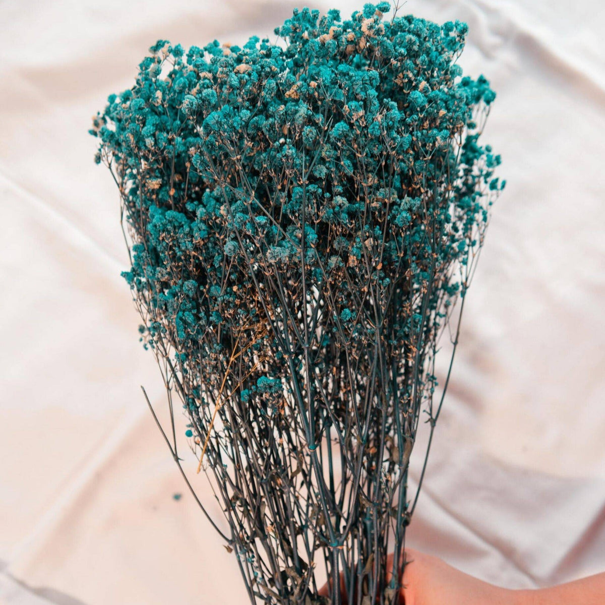 Royal Blue Baby Breath Dried Flowers in Decorative Vase Arrangement