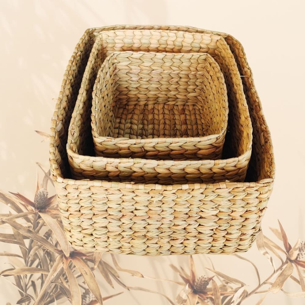 Set of 3 baskets - Water Reed (Kauna Grass) - Home Decor