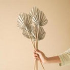 Silver round shape palm leaves dried flower set of 5 used for elegant and modern home decor styling