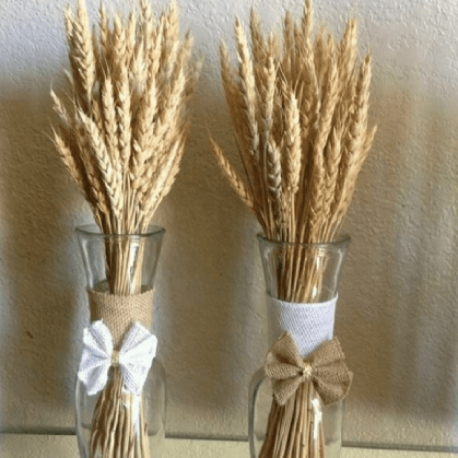Wheat Grass dried flower bunch for vase decor and natural home styling by ArteCasa