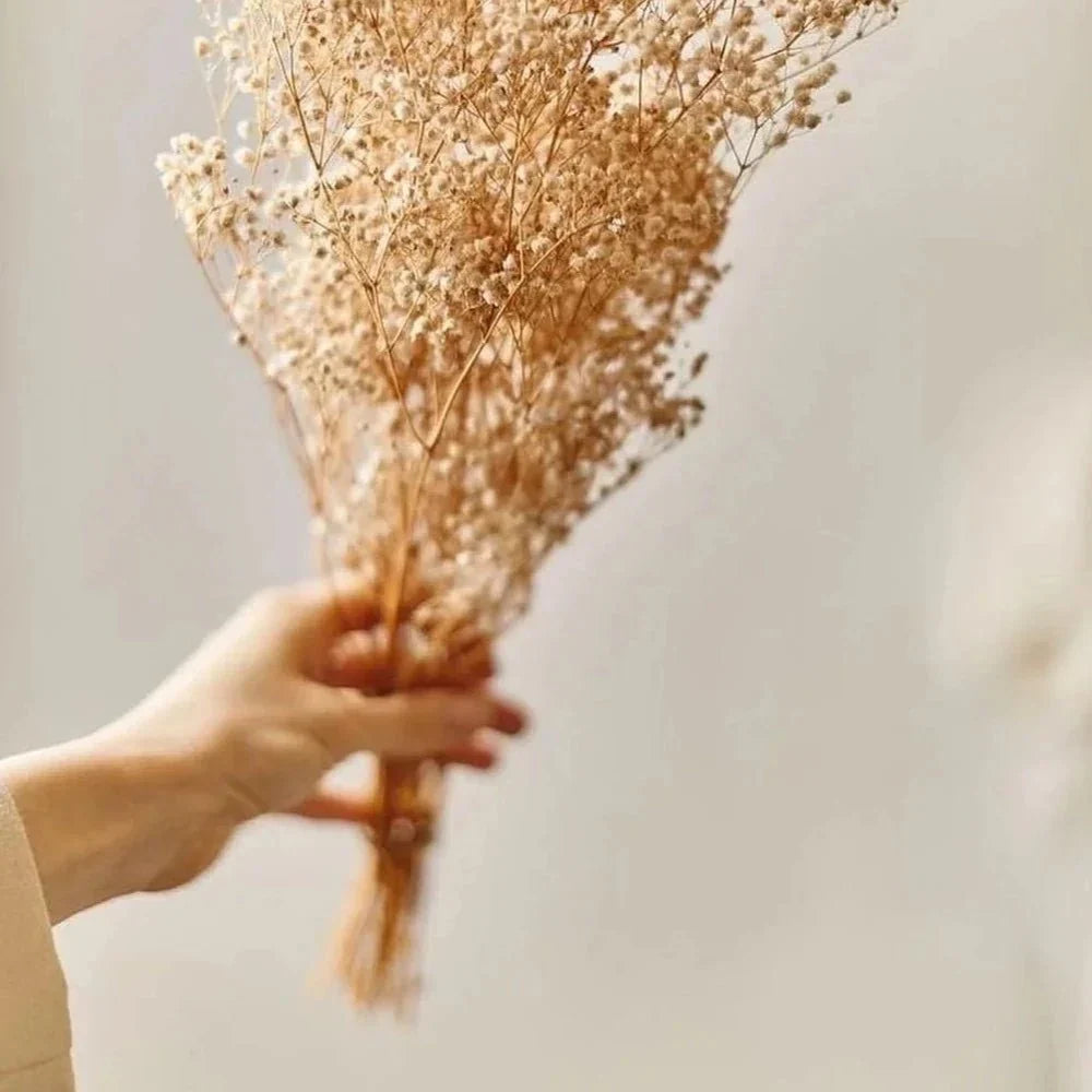 White Baby Breath dried flowers bunch for vase decor and home styling by ArteCasa