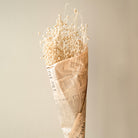 White Flax Dried Flower Bunch for Minimal Aesthetic Vase Decor