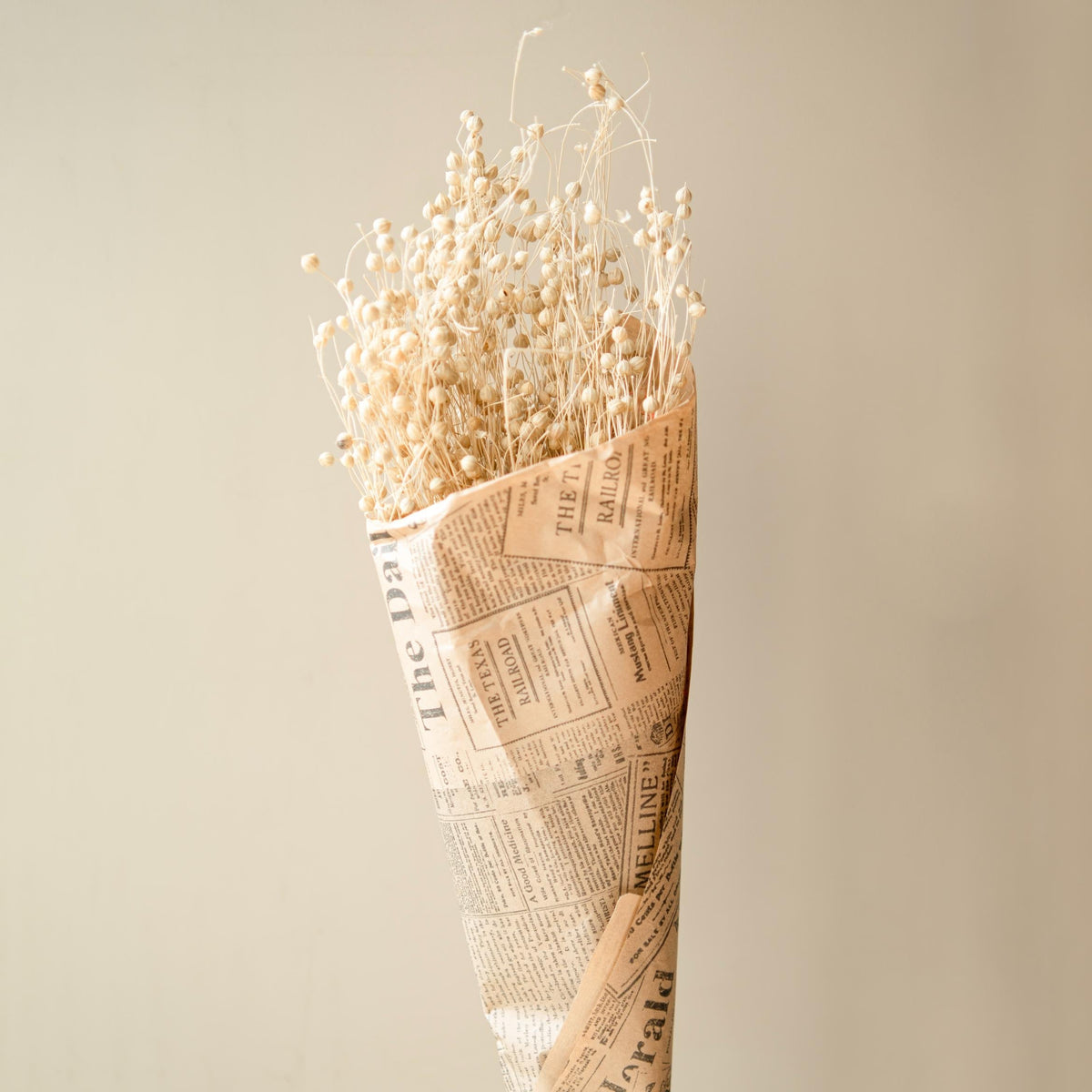 White Flax Dried Flower Bunch for Minimal Aesthetic Vase Decor