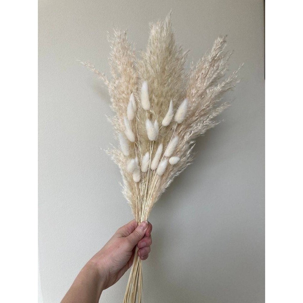 White Pampas Grass and Bunny Tails arrangement for aesthetic vase decor and modern home interiors