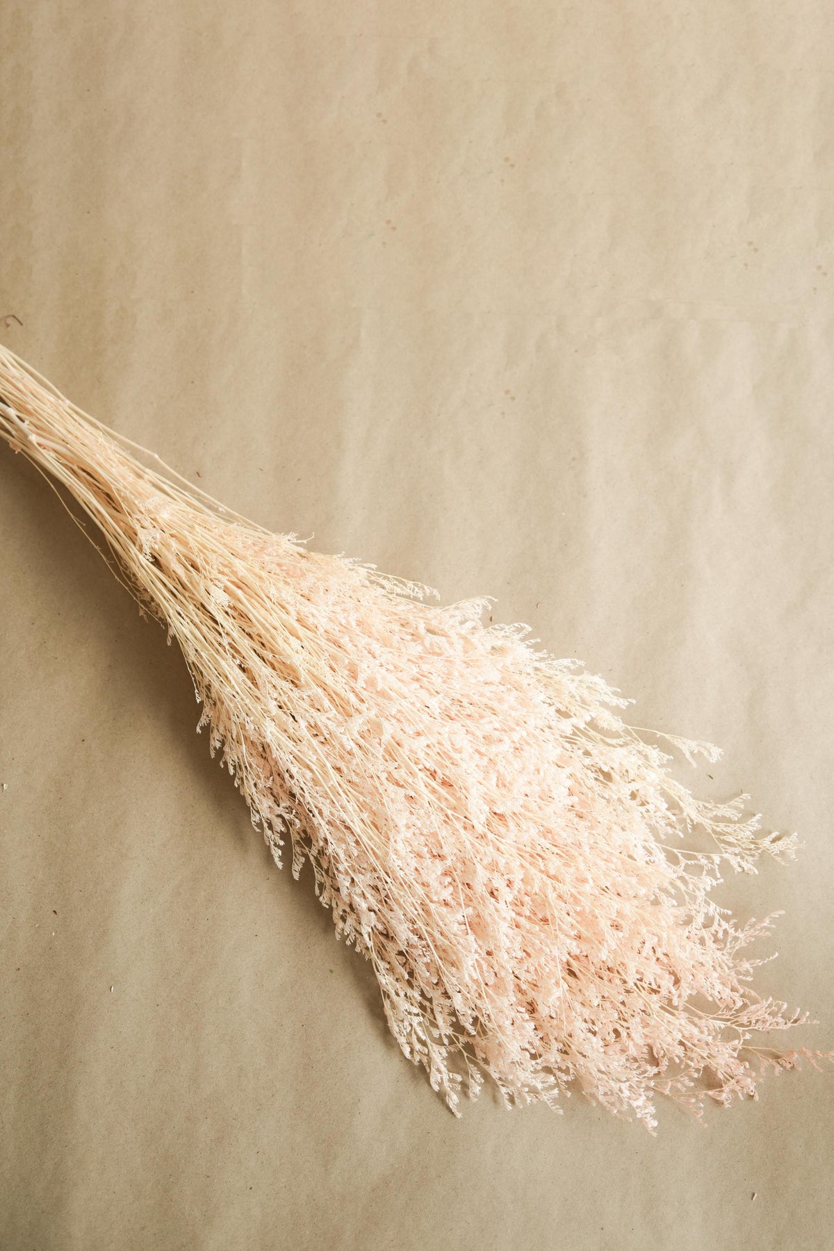 Dual Colour Limonium White Peach Dried Floral Decor for Home Styling