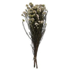 White Rice Flower Dried Floral Bunch in Decorative Vase