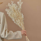 White Ruscus Dried Flowers Leaves for Vase Decor and Home Styling