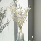 White Ruscus Natural Dried Greenery in Decorative Vase Arrangement
