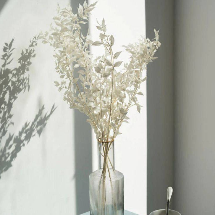 White Ruscus Natural Dried Greenery in Decorative Vase Arrangement