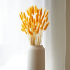 Yellow Bunny Tails Dried Flowers Bundle for Vase and Home Decor