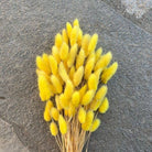Yellow Bunny Tails Dried Flowers in Vase for Home Decor
