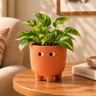 Grande Form Large Face Planter Set of 2 – Orange & White - https://artecasa.in/
